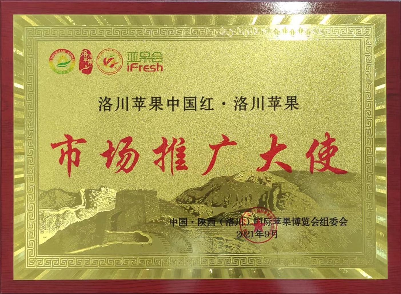 洛川苹果中国红·洛川苹果市场推广大使