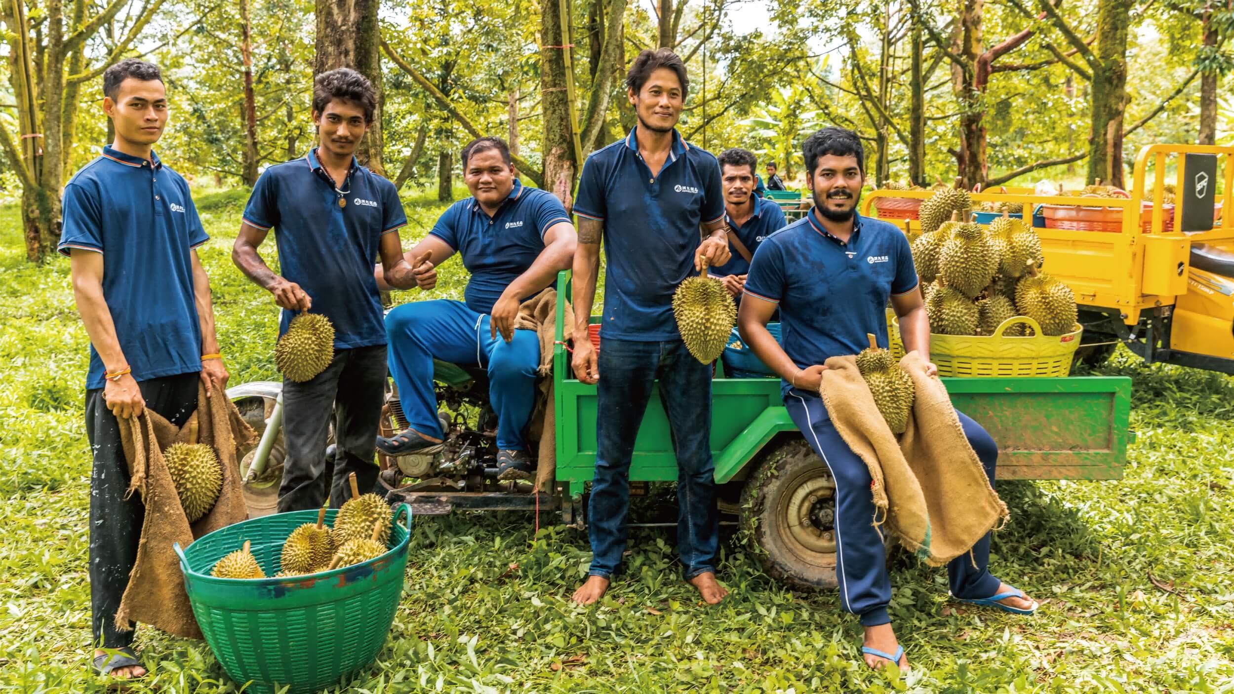 全球水果链 共享幸福果