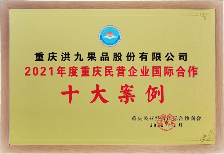 2021年度重庆民营企业国际合作十大案例