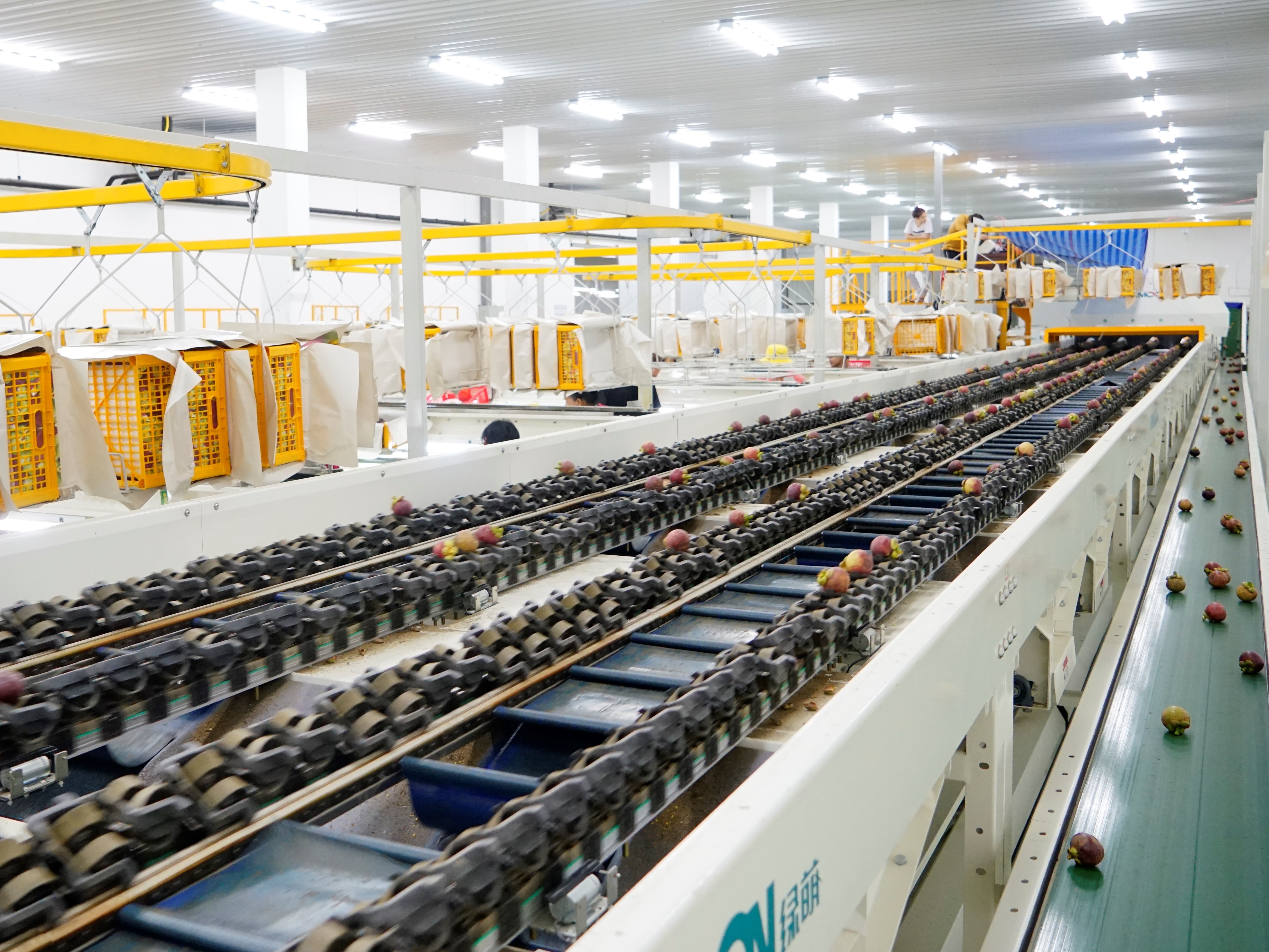 产地端标准化运作