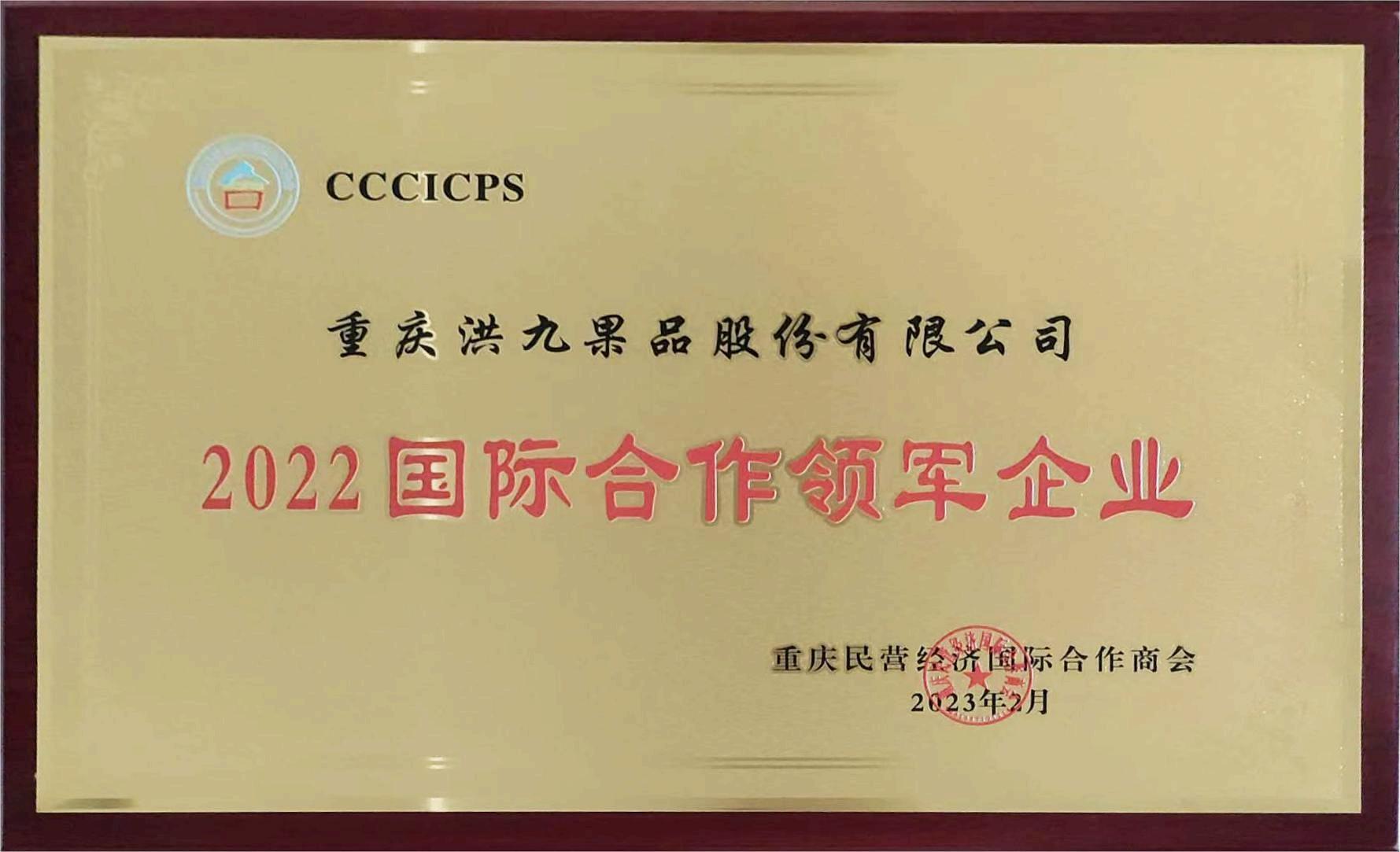 2022国际合作领军企业