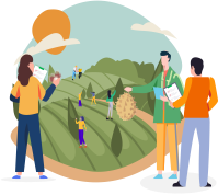 深入果园 源头直采