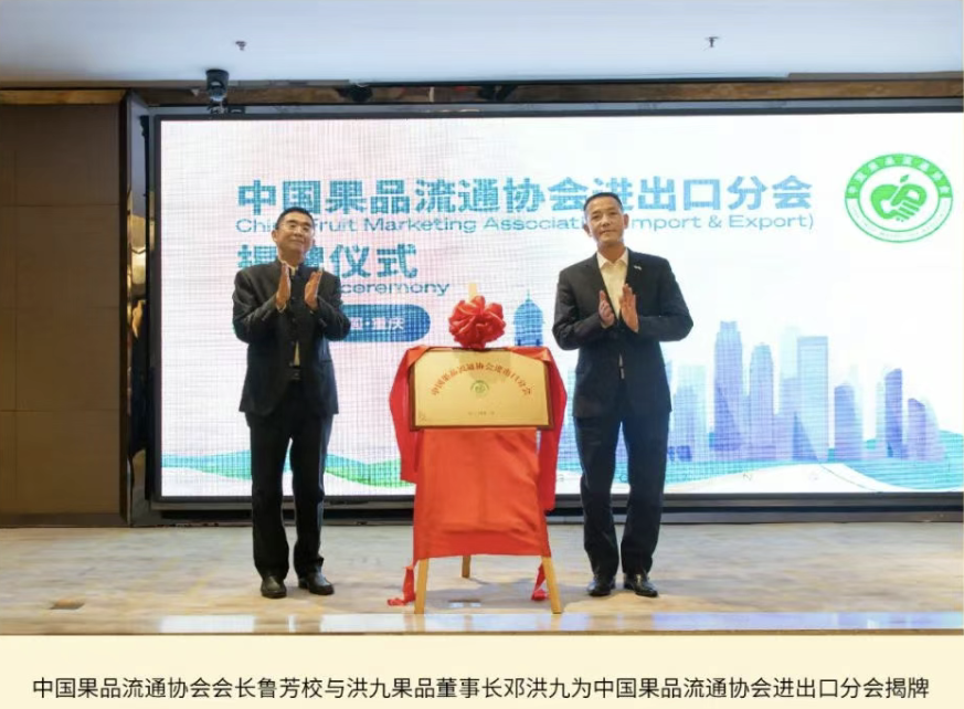 中国果品流通协会进出口分会正式成立，洪九果品董事长邓洪九当选分会理事长